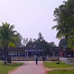 pabna1